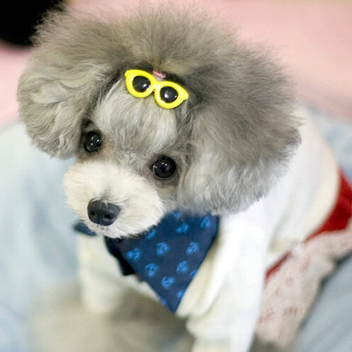 Eaarliyam Sunglasses Shaped Dog Hair Clip, 5 Pet Hair Accessories, Sunglasses Hair Clip, 3.8 * 1.5Cm(Red+Pink+Yellow+Purple+Sky Blue) Animals & Pet Supplies > Pet Supplies > Dog Supplies > Dog Apparel Eaarliyam