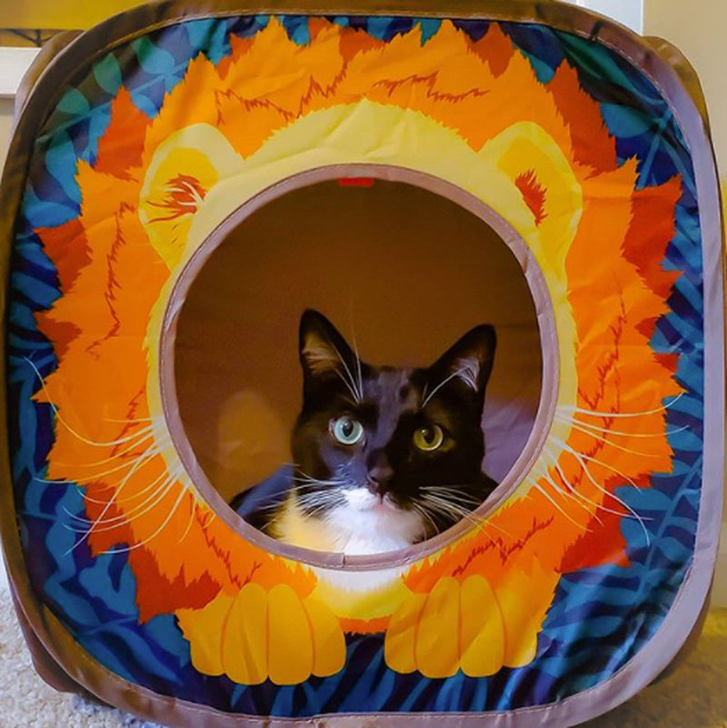 Kitty City Safari Collapsible Cat Cube Animals & Pet Supplies > Pet Supplies > Cat Supplies > Cat Toys Sport Pet