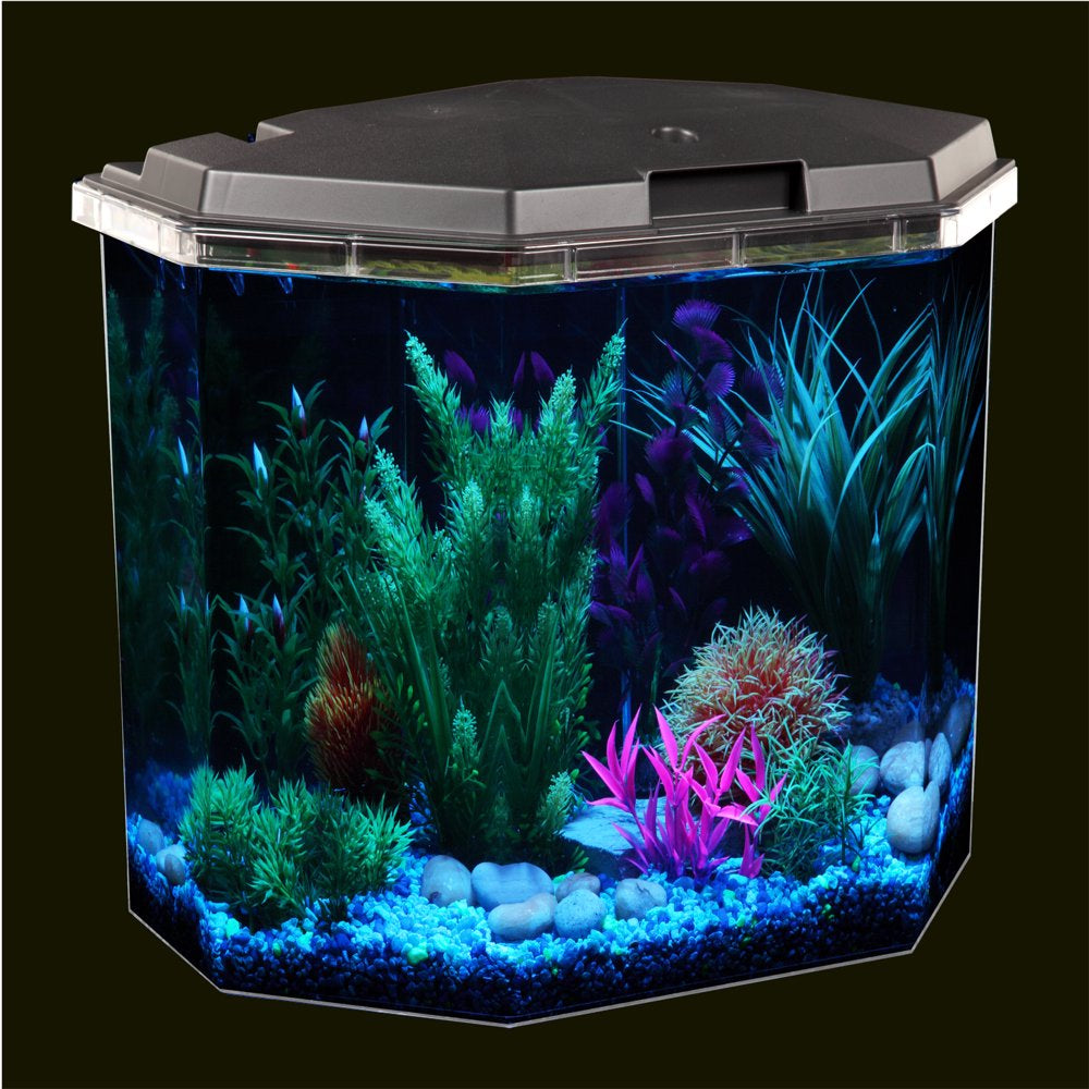 Kollercraft Smart Tank 6.5-Gallon Aquarium Kit, Create Custom LED Light Colors, Monitor Tank Temperature, Schedule Maintenance Reminders and Alerts Easily from Your Iphone or Android Animals & Pet Supplies > Pet Supplies > Fish Supplies > Aquarium Lighting Kollercraft