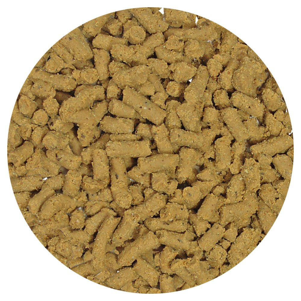 Exotic Nutrition Insectivore-Fare 1 Lb. Animals & Pet Supplies > Pet Supplies > Small Animal Supplies > Small Animal Food Exotic Nutrition