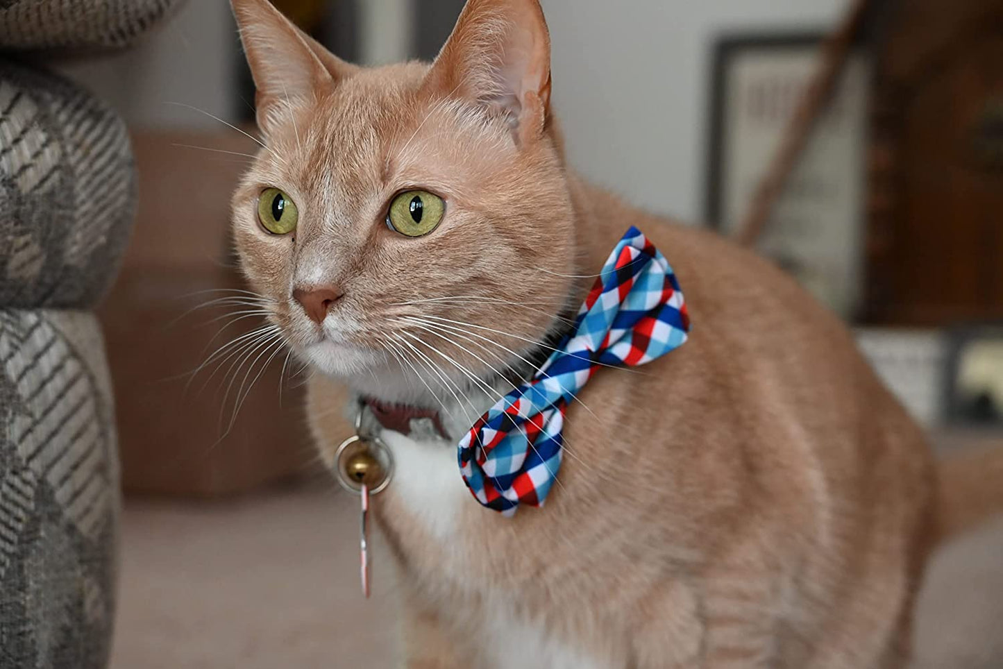 H&K Bow Tie for Pets | Picnic Check (Large) | 4Th of July Velcro Bow Tie Collar Attachment | Fun Bow Ties for Dogs & Cats | Cute, Comfortable, and Durable | Huxley & Kent Bow Tie Animals & Pet Supplies > Pet Supplies > Dog Supplies > Dog Apparel Huxley & Kent