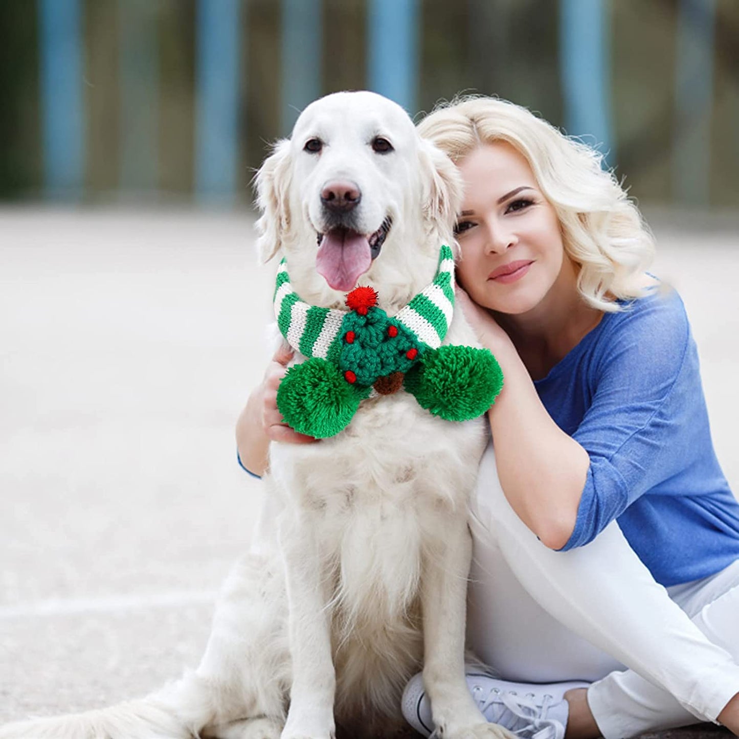 Dog Birthday Boy Bandana Pet Happy Birthday Party Pet Knitted Fleece Striped Christmas Scarf Cat Dog Christmas Tree Santa Adjustable Scarf Pet Dog Scarf Bandana for Dogs Cats Costume (Green, S) Animals & Pet Supplies > Pet Supplies > Dog Supplies > Dog Apparel Generic