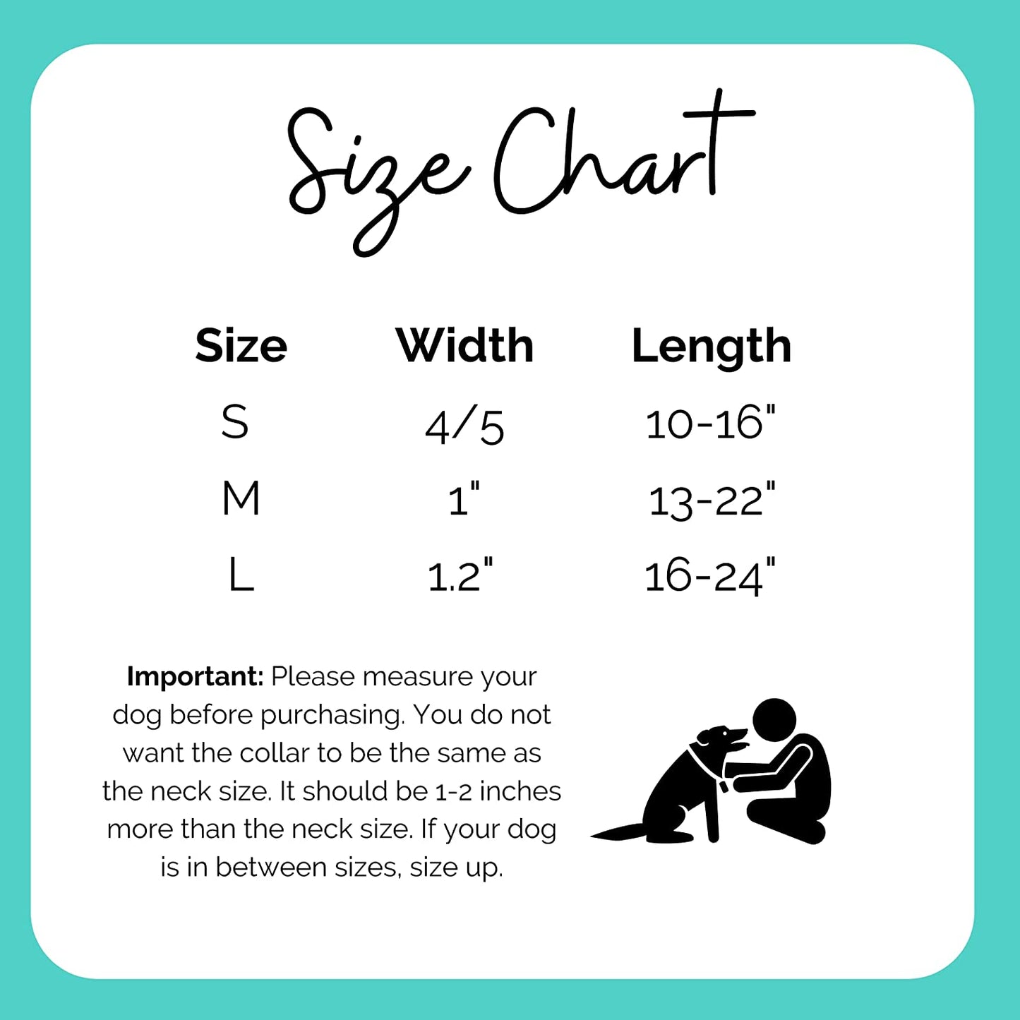 Stella and Bear Dog Collar with Bowtie- Adjustable Blue Grey Collar with Metal Buckle and Removable Bowtie- Pet Gift for Small, Medium, and Large Dogs and Cats (Medium) Animals & Pet Supplies > Pet Supplies > Dog Supplies > Dog Apparel Touch Horizon LLC.