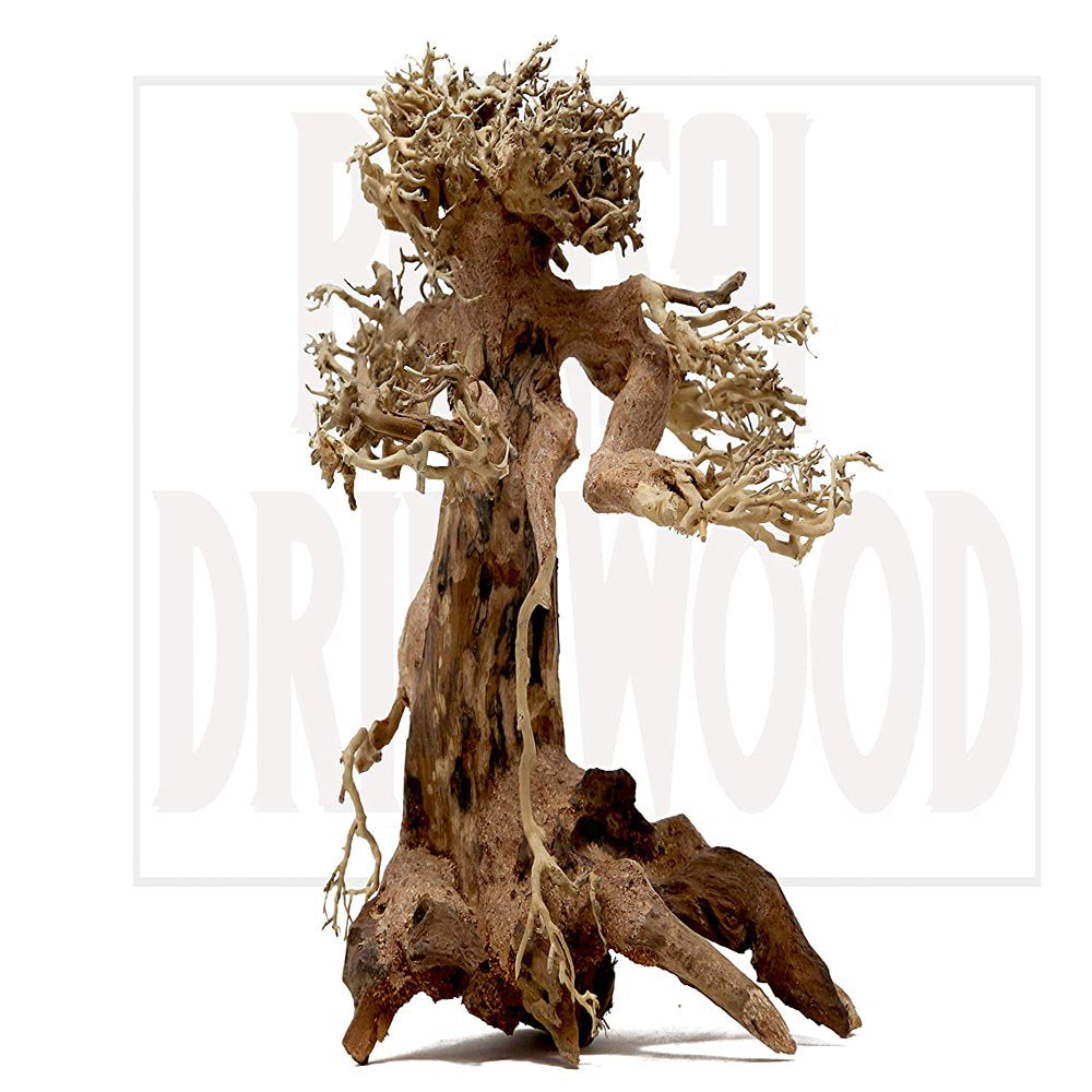Bonsai Driftwood Aquarium Natrual Tree Fish Tank Decoration 8 X 6 In-Am, Helps Balance Water Ph Levels, Stabilizes Environments Animals & Pet Supplies > Pet Supplies > Fish Supplies > Aquarium Decor Bonsai Driftwood