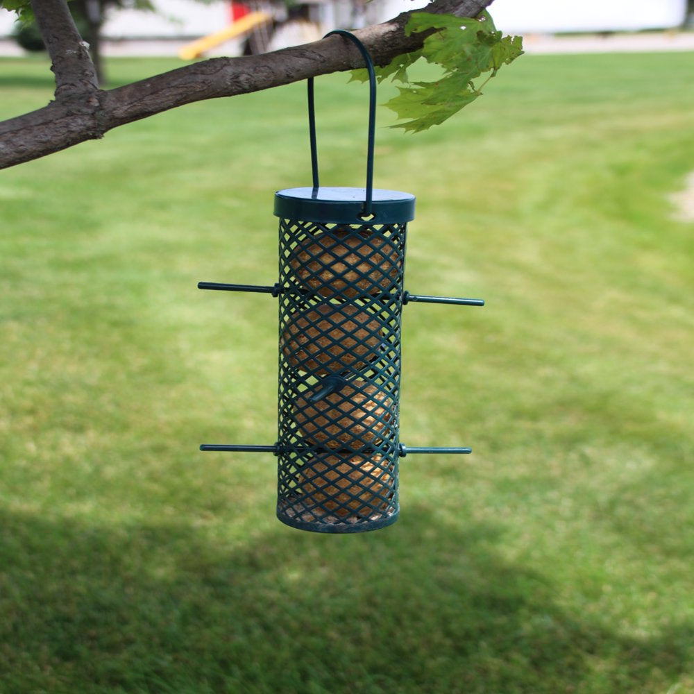 C&S Peanut Delight No-Melt Suet Balls., 1 Lb, Wild Bird Food Animals & Pet Supplies > Pet Supplies > Bird Supplies > Bird Treats Central Garden and Pet