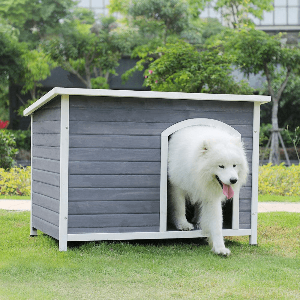 A 4 Pet Outdoor Wooden Dog House with Hinges,Raised Feet,Openable Asphalt Roof&Removable Floor Animals & Pet Supplies > Pet Supplies > Dog Supplies > Dog Houses A 4 Pet