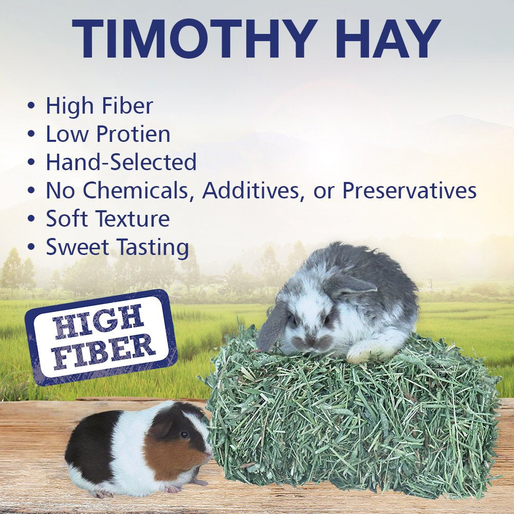 Grandpa'S Best Timothy Hay Mini Bale for Small Animals - 10Lb Animals & Pet Supplies > Pet Supplies > Small Animal Supplies > Small Animal Food Grandpa's Best LLC