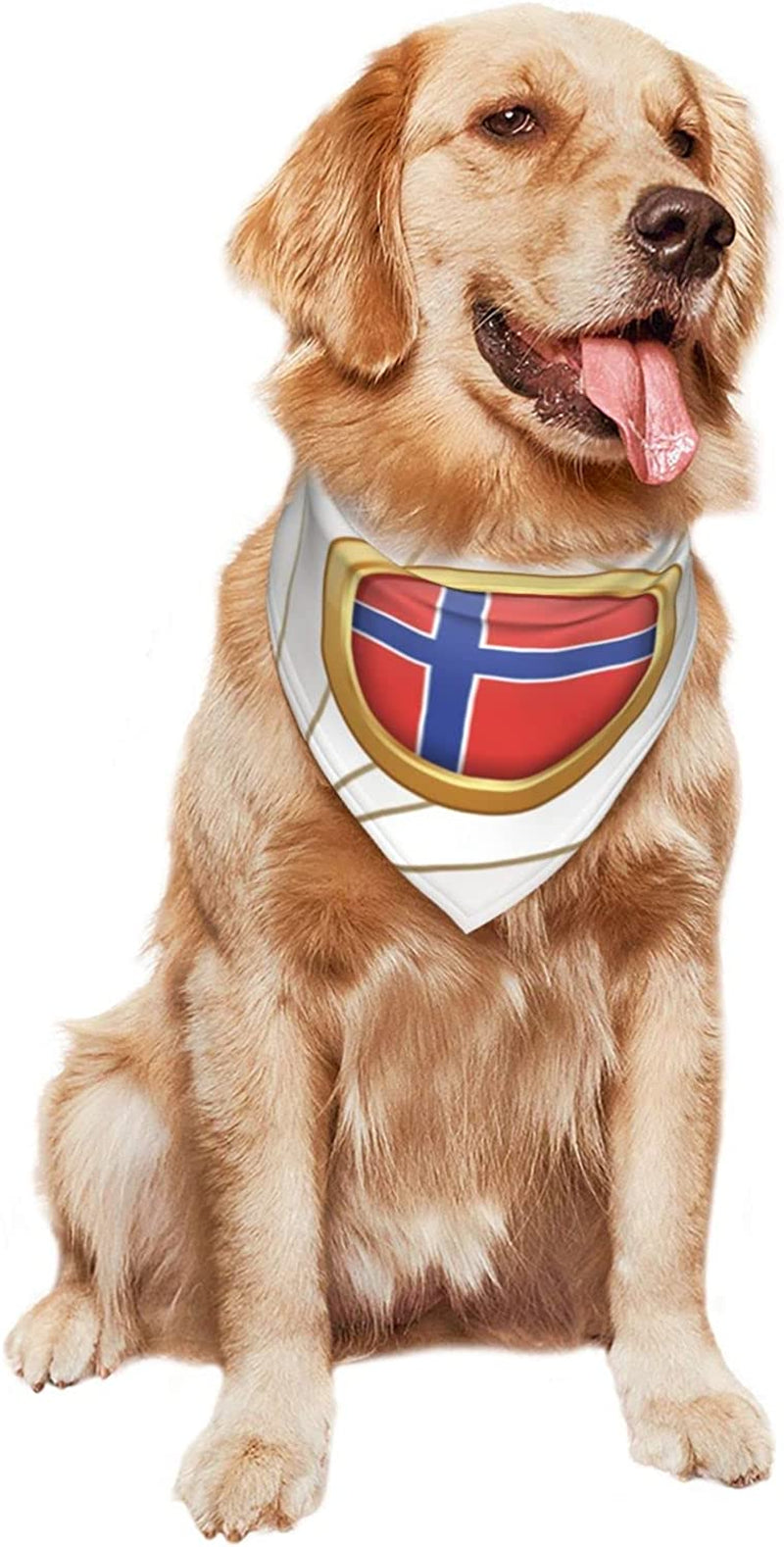 Golden Disc Norway Flag Pet Dog and Cat Decorative Triangle Scarf,Dog Bandana,Breathable and Stain Resistant. Animals & Pet Supplies > Pet Supplies > Dog Supplies > Dog Apparel ZALTAS