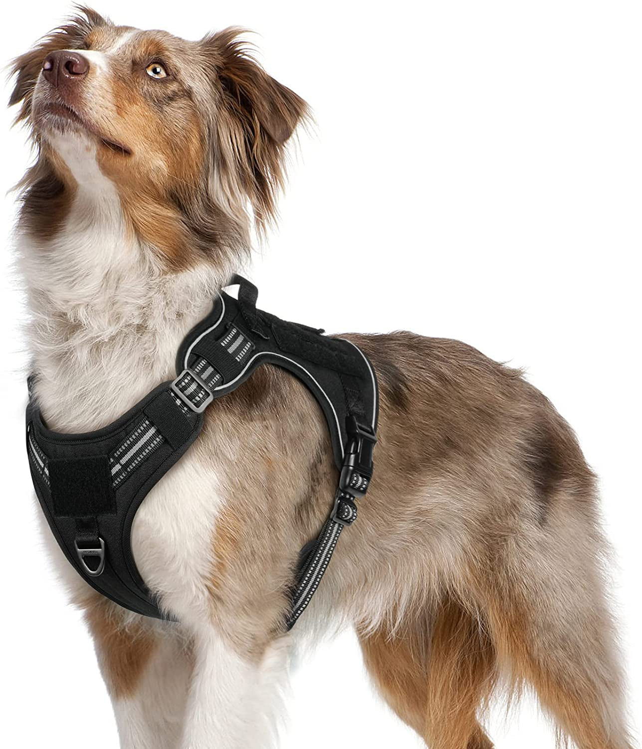 Rabbitgoo Tactical Dog Harness No Pull, Military Dog Vest Harness with Handle & Molle, Easy Control Service Dog Harness for Large Dogs Training Walking, Adjustable Reflective Pet Harness, Black, L Animals & Pet Supplies > Pet Supplies > Dog Supplies > Dog Apparel GLOBEGOU CO.,LTD Black Medium 