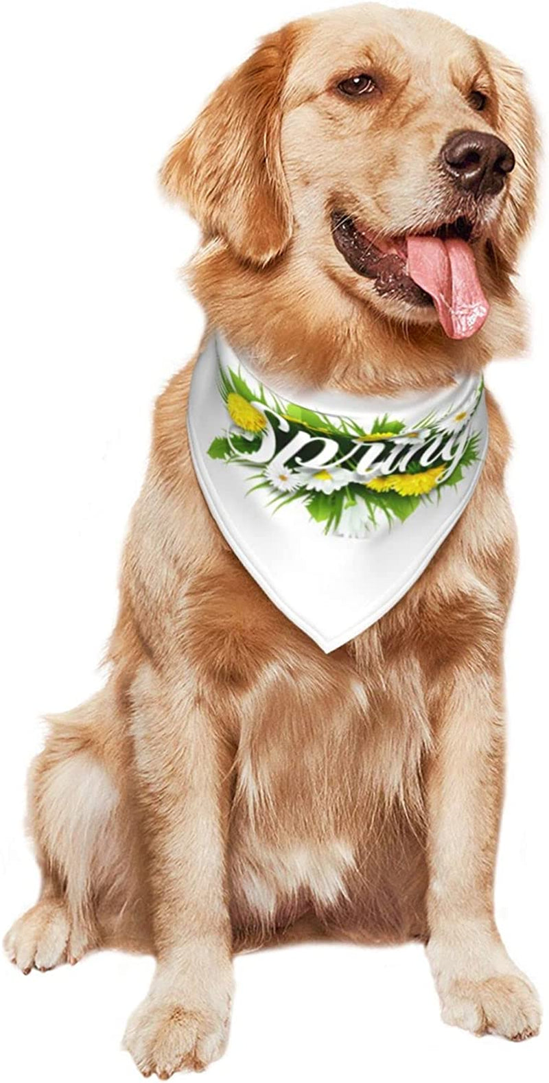 Hello Spring Floral Season Border Pet Dog and Cat Decorative Triangle Scarf,Dog Bandana,Breathable and Stain Resistant. Animals & Pet Supplies > Pet Supplies > Dog Supplies > Dog Apparel ZALTAS