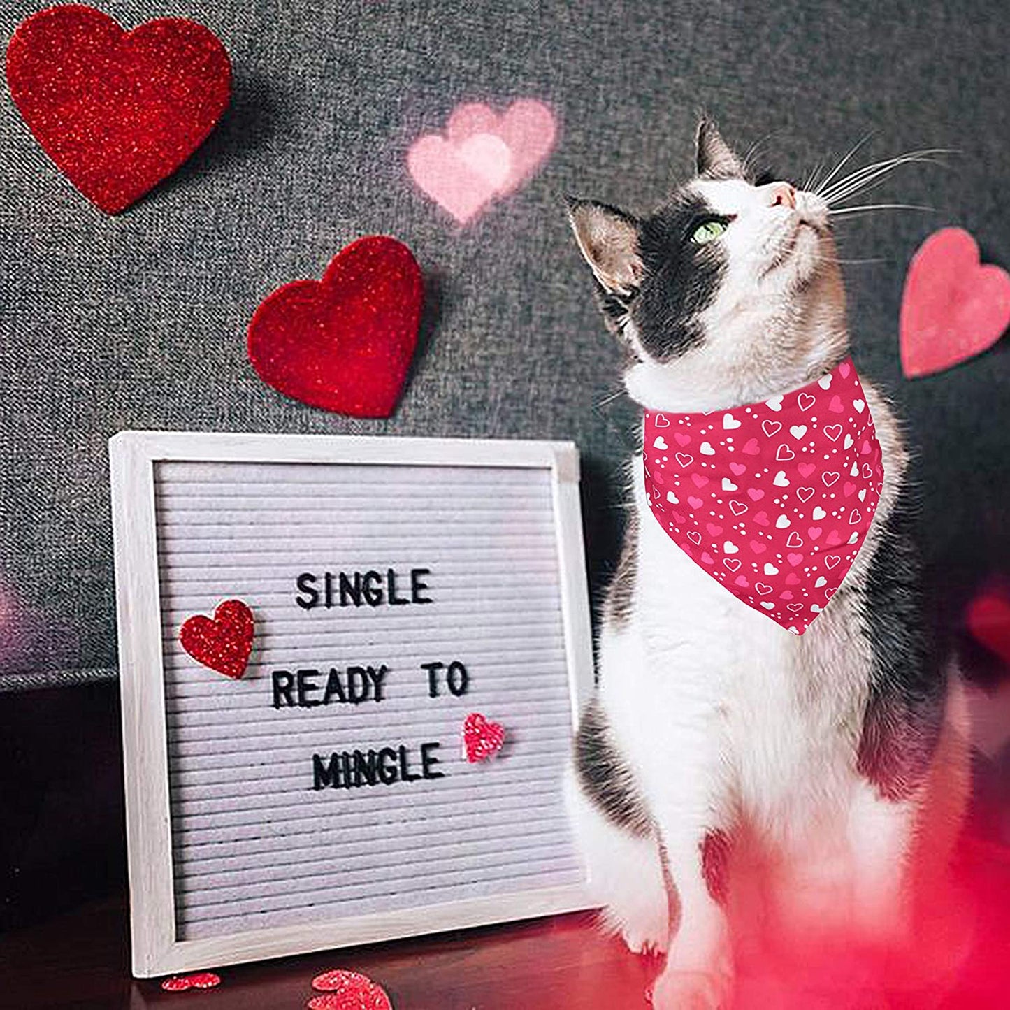 Valentines Dog Bandana, Holiday Cat Bandana Heart 2 Pack Scarfs for Small Medium Large Dogs Cats Pet Puppies Animals & Pet Supplies > Pet Supplies > Dog Supplies > Dog Apparel Pohshido