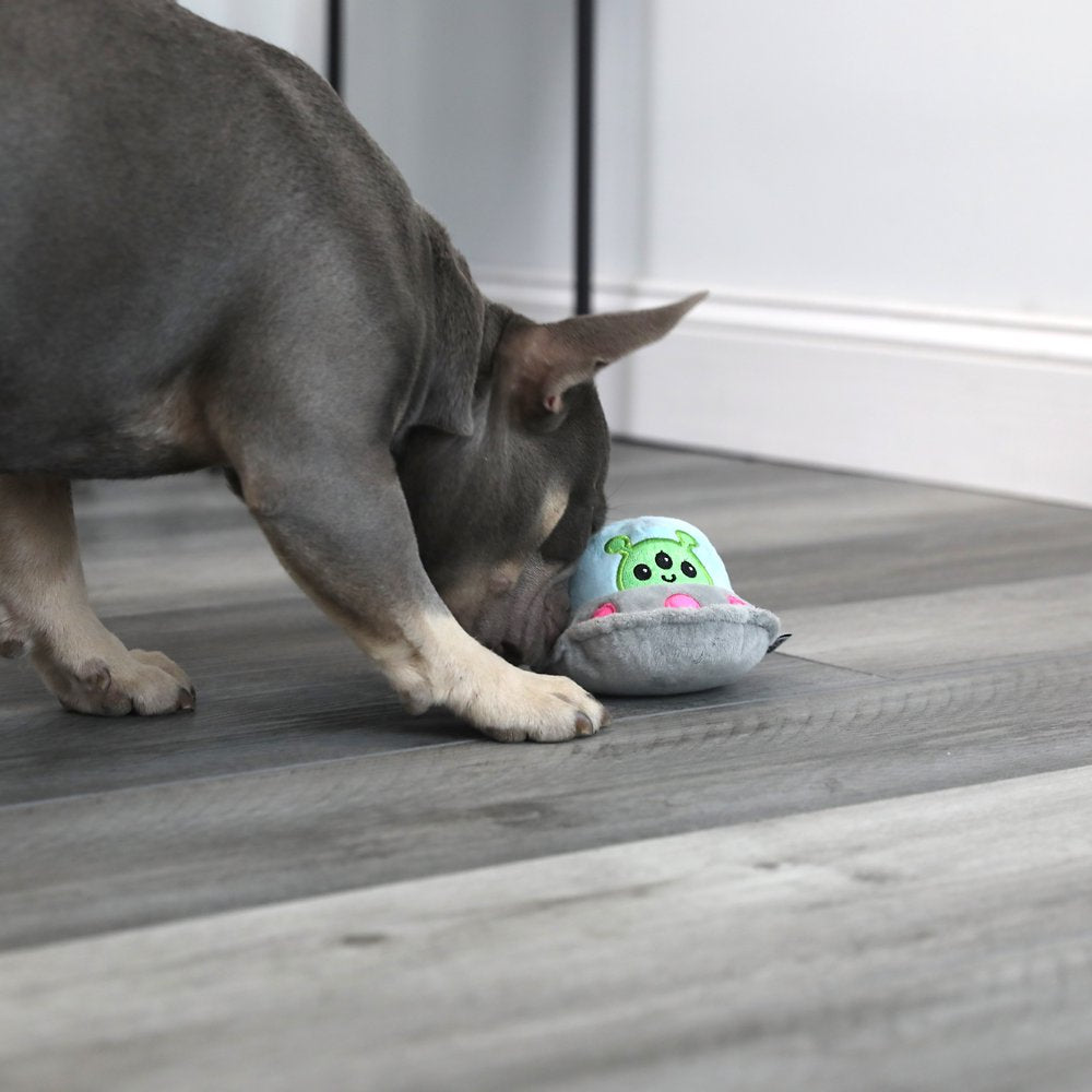Pet Zone Alien Flying Saucer 3 in 1 Plush Squeaky Dog Toys for Small Dogs Animals & Pet Supplies > Pet Supplies > Dog Supplies > Dog Toys Our Pets