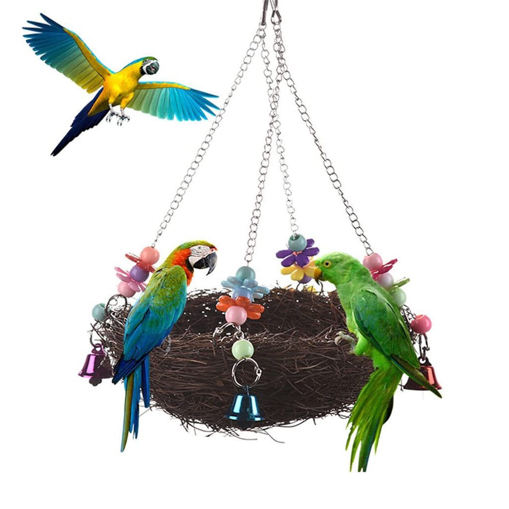Pet Enjoy Bird Climbing Chewing Toys,Parrot Sneakers Colorful Shredder Hanging Cage Bite Toys for Small Parakeets,Cockatiel,Conures,Finches,Parrots Animals & Pet Supplies > Pet Supplies > Bird Supplies > Bird Gyms & Playstands Pet Enjoy