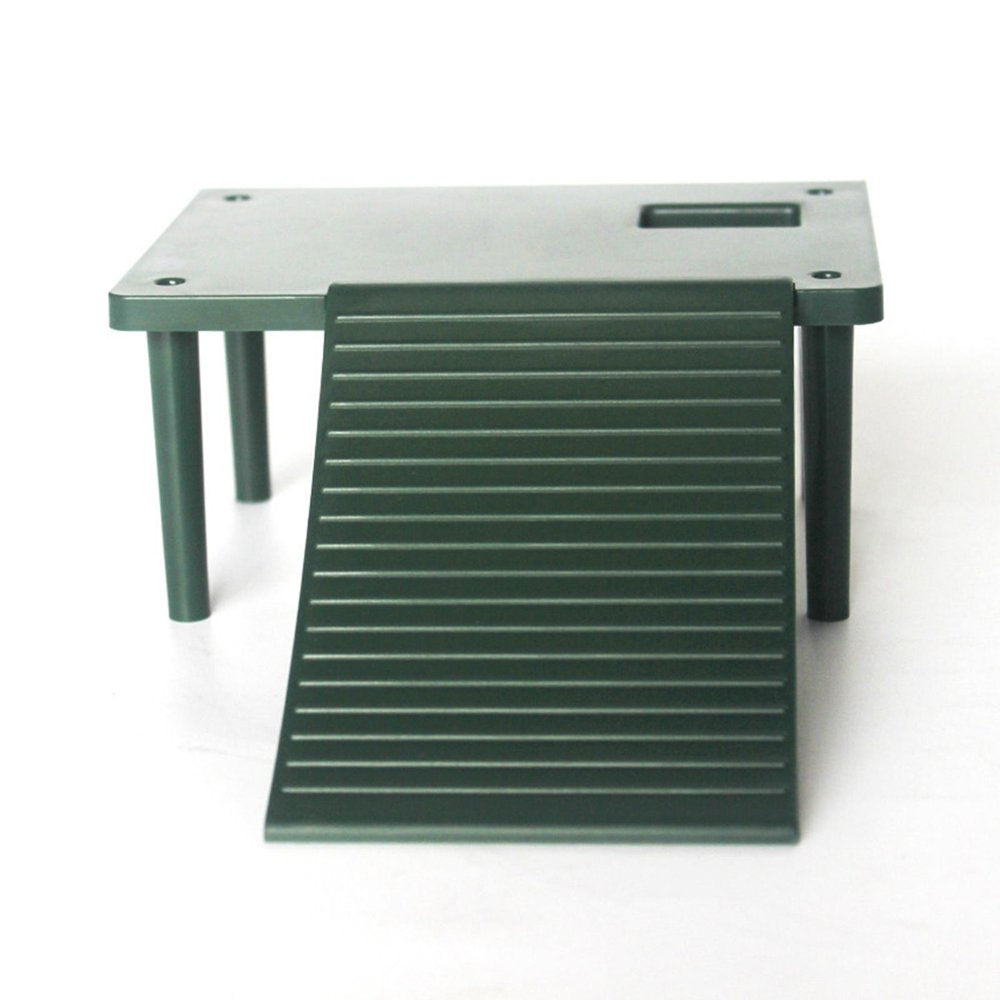 Turtle Basking Platform Reptiles with Suction Cup Ladder Island Ornament Resting Animals & Pet Supplies > Pet Supplies > Small Animal Supplies > Small Animal Habitat Accessories Baoblaze
