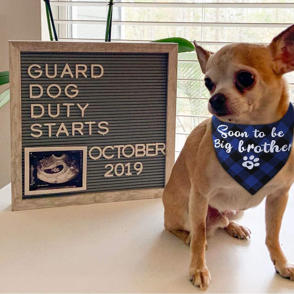 JPB 2 Pack Sooner to Be Big Brother Dog Bandana,Pet Baby Announcement Plaid Scarf Gender Reveal Accessories Animals & Pet Supplies > Pet Supplies > Dog Supplies > Dog Apparel JPB
