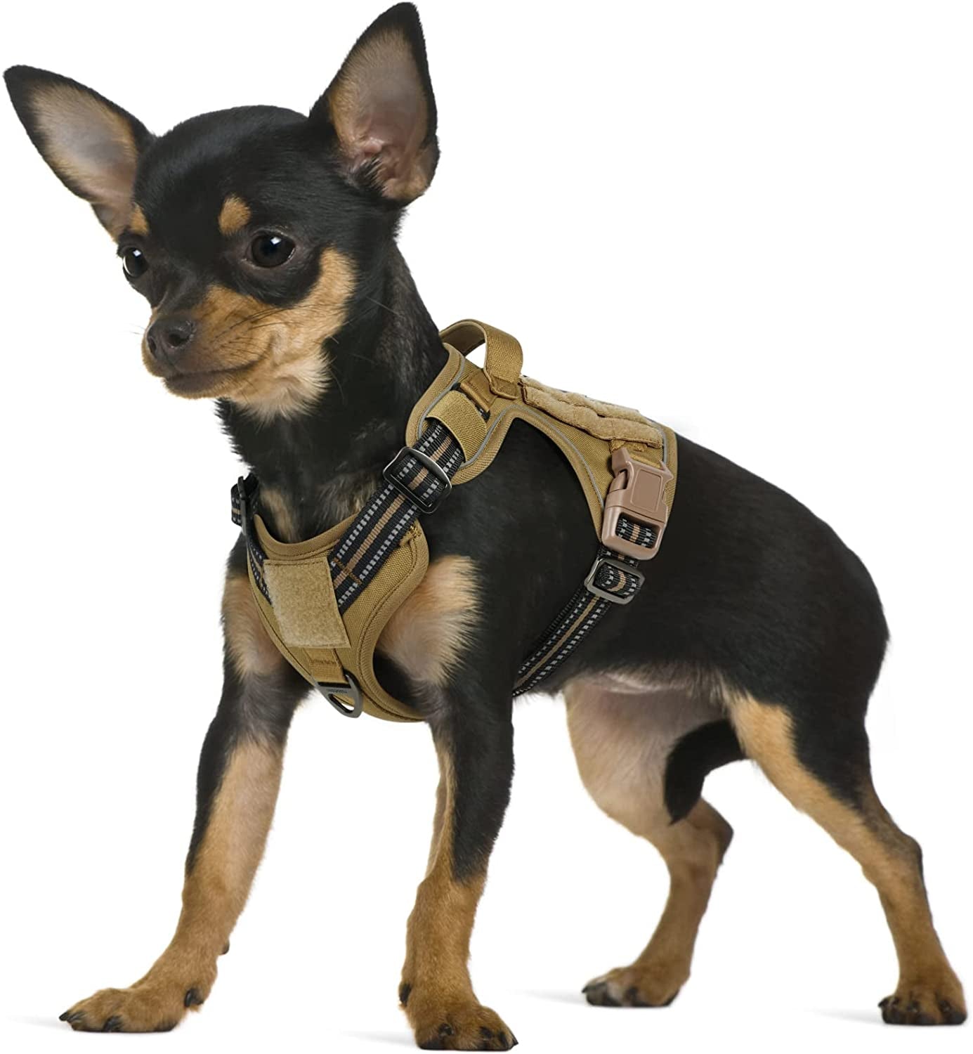 Rabbitgoo Tactical Dog Harness No Pull, Military Dog Vest Harness with Handle & Molle, Easy Control Service Dog Harness for Large Dogs Training Walking, Adjustable Reflective Pet Harness, Black, L Animals & Pet Supplies > Pet Supplies > Dog Supplies > Dog Apparel GLOBEGOU CO.,LTD Brown Small 