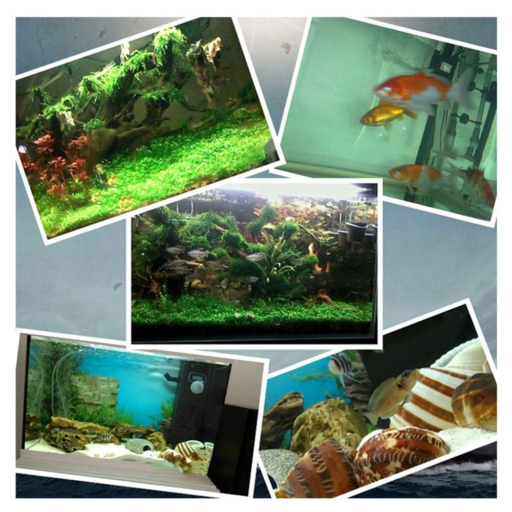 HGYCPP Aquarium Nitrifying Bacteria Super Concentrated Capsule Fish Tank Pond Cleaning Water Purifier Supply Animals & Pet Supplies > Pet Supplies > Fish Supplies > Aquarium Cleaning Supplies HGYCPP