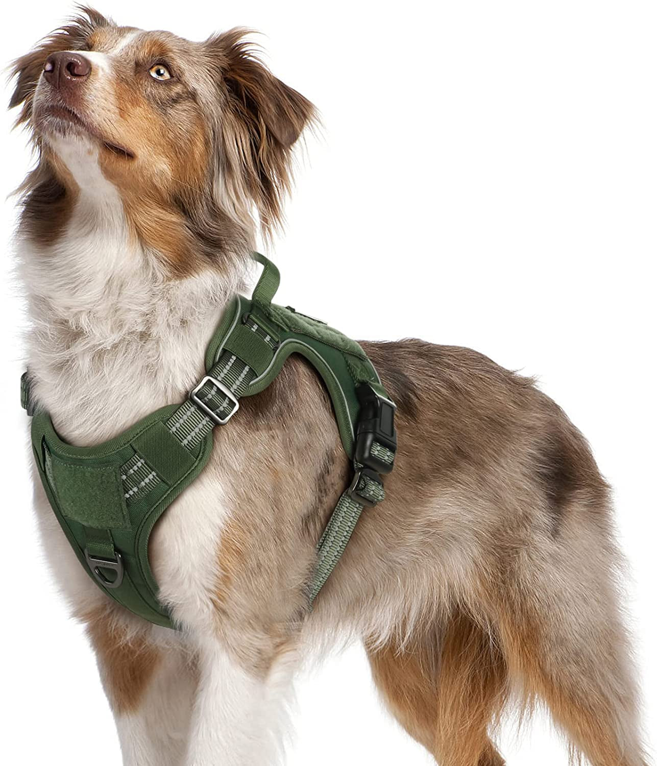 Rabbitgoo Tactical Dog Harness No Pull, Military Dog Vest Harness with Handle & Molle, Easy Control Service Dog Harness for Large Dogs Training Walking, Adjustable Reflective Pet Harness, Black, L Animals & Pet Supplies > Pet Supplies > Dog Supplies > Dog Apparel GLOBEGOU CO.,LTD Green Medium 