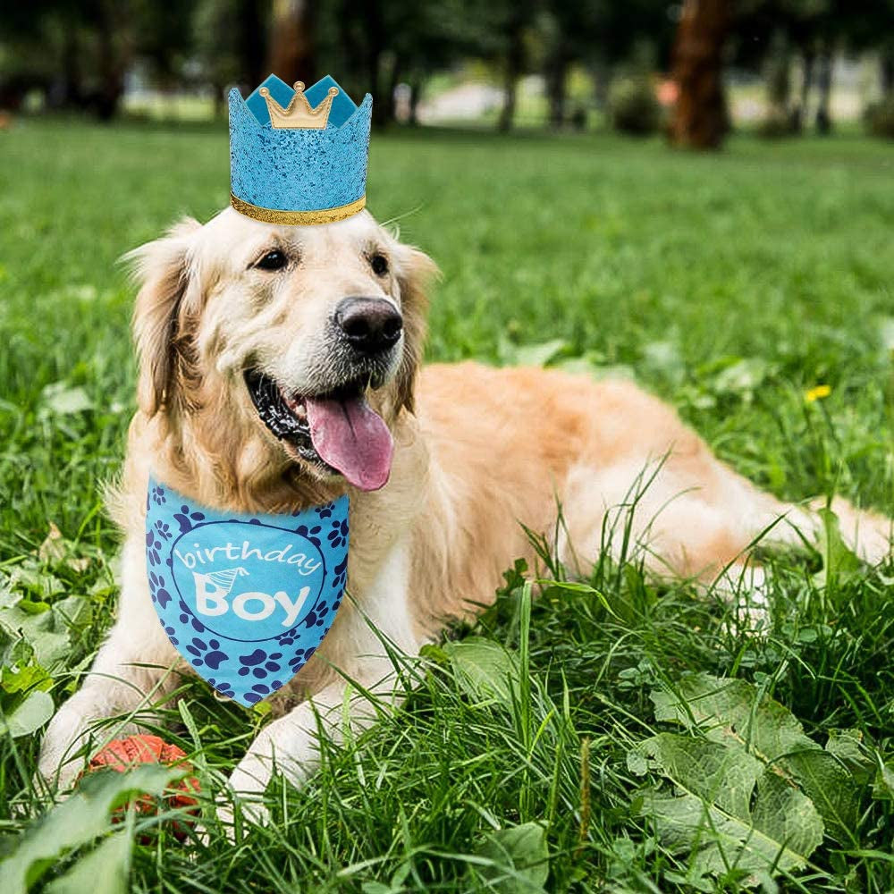 Dog Birthday Bandana with Crown Hat - Triangle Scarfs and Cute Party Hat for Pets, Blue Animals & Pet Supplies > Pet Supplies > Dog Supplies > Dog Apparel HAOBO