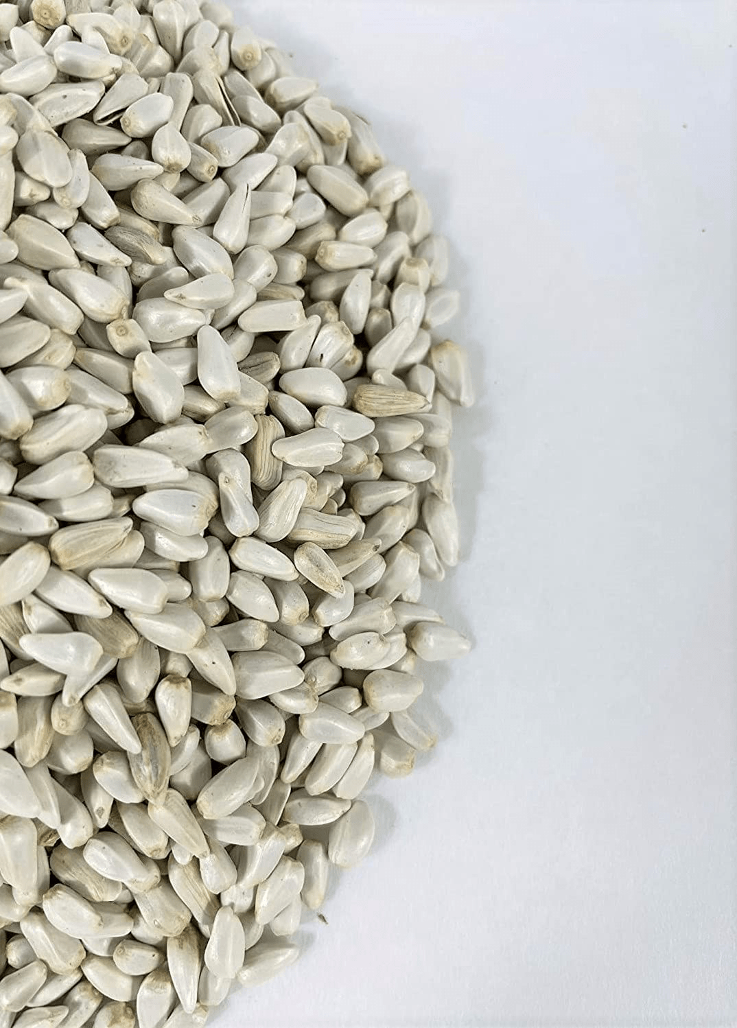 AA plus Shop Safflower Seeds Bird Feed - 10LB Reusable Bag Animals & Pet Supplies > Pet Supplies > Bird Supplies > Bird Food AA Plus