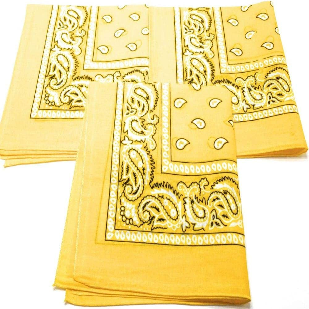 3 Pack Dog Bandana Neck Scarf Paisley 100% Cotton Double Sided Bandanas - Any Pets by M.H.I. (Orange) Animals & Pet Supplies > Pet Supplies > Dog Supplies > Dog Apparel M.H.I. Yellow