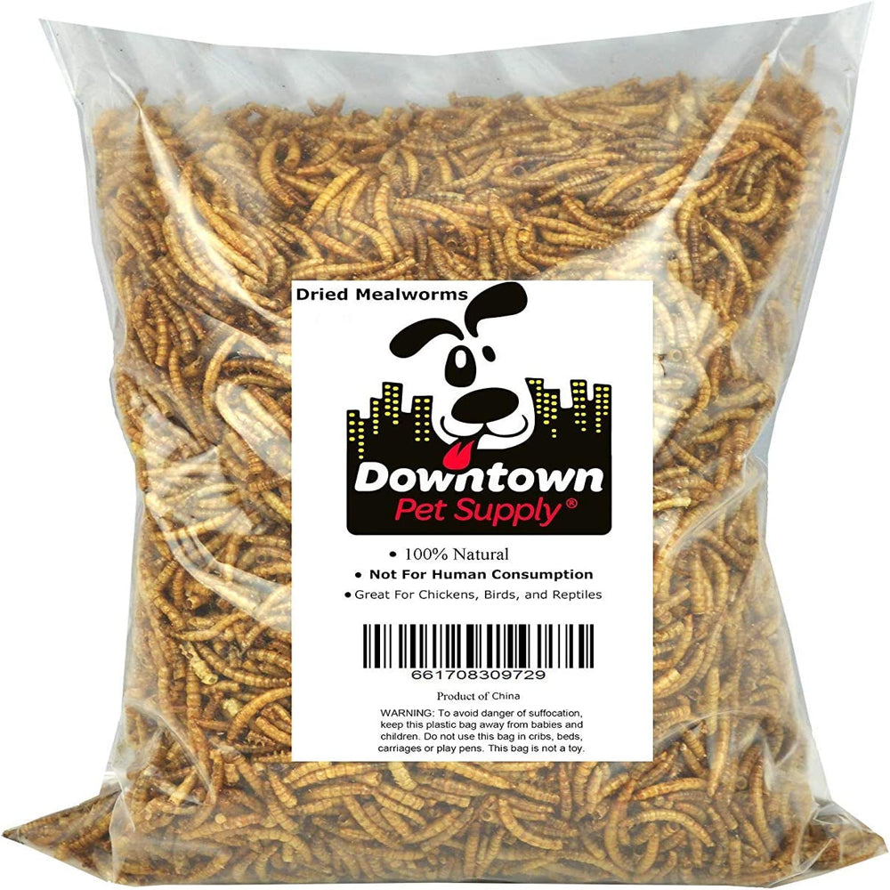 Downtown Pet Suppl Mealworms - Rich in Vitamin B12, B5, Protein, Fibre and Omega 3 Fatty Acids - Chicken, Duck and Bird Food - Reptile and Turtle Foo Animals & Pet Supplies > Pet Supplies > Bird Supplies > Bird Treats Downtown Pet Supply 2 lbs