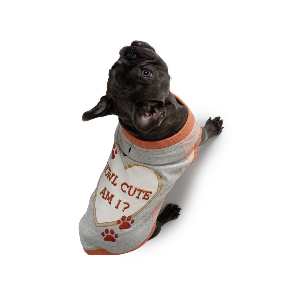 JOLLY KNITS DOG TSHIRT -HOW CUTE AM I - Small Animals & Pet Supplies > Pet Supplies > Dog Supplies > Dog Apparel Major Label Group