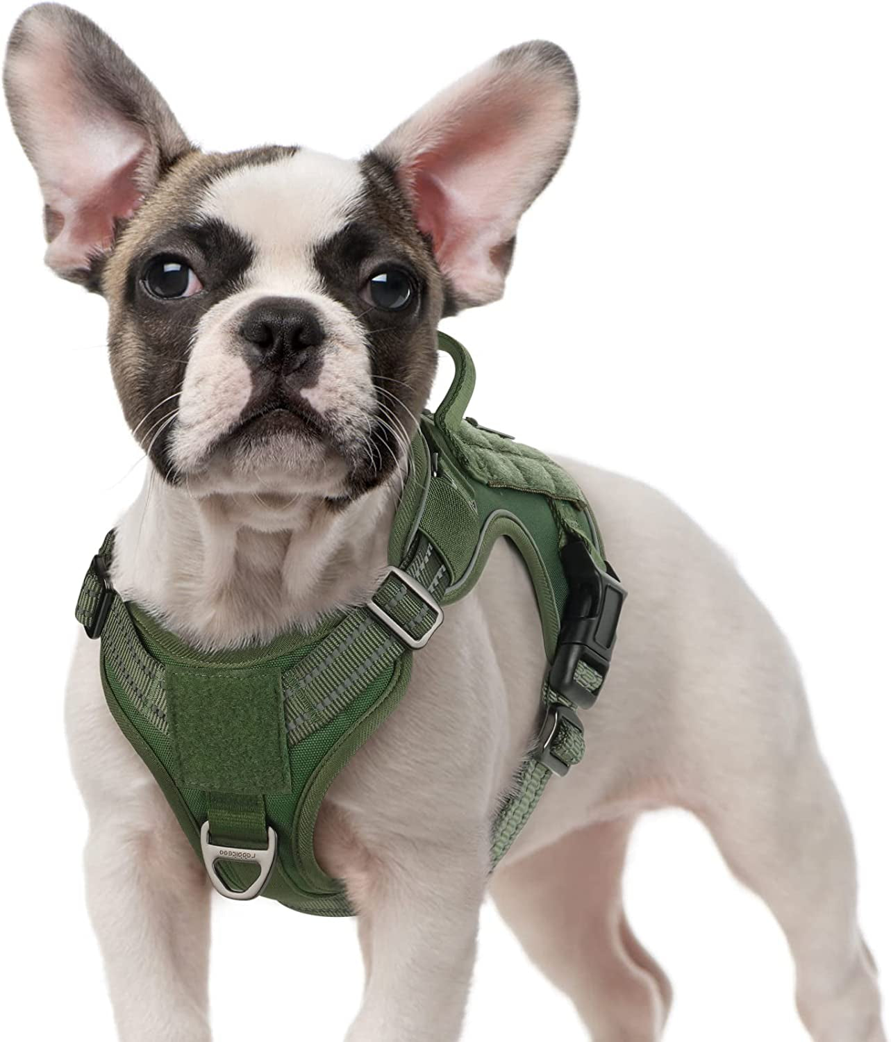 Rabbitgoo Tactical Dog Harness No Pull, Military Dog Vest Harness with Handle & Molle, Easy Control Service Dog Harness for Large Dogs Training Walking, Adjustable Reflective Pet Harness, Black, L Animals & Pet Supplies > Pet Supplies > Dog Supplies > Dog Apparel GLOBEGOU CO.,LTD Green Small 