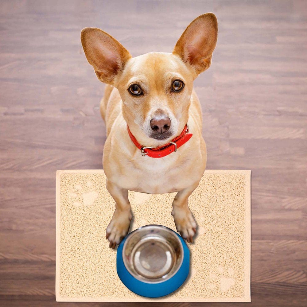 Accessories in Pets Dogs Cat Litter Mat Kitty Litter Trappings Mat for Litter Boxes Kitty Litter Mat to Trap Mess Scatter Control Washable Indoor Pet Rug and Carpet Animals & Pet Supplies > Pet Supplies > Cat Supplies > Cat Litter Box Mats Pets Accessory One Size Beige