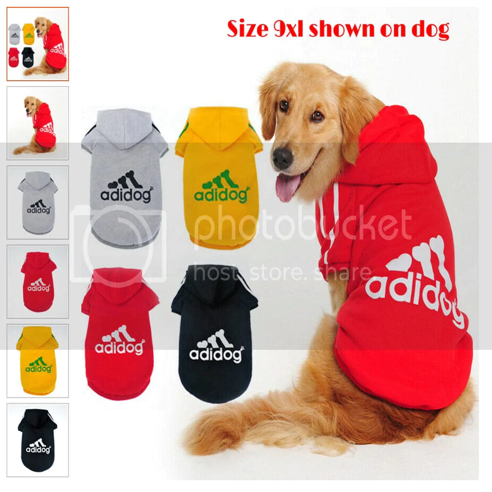 Pink adidog hoodie online