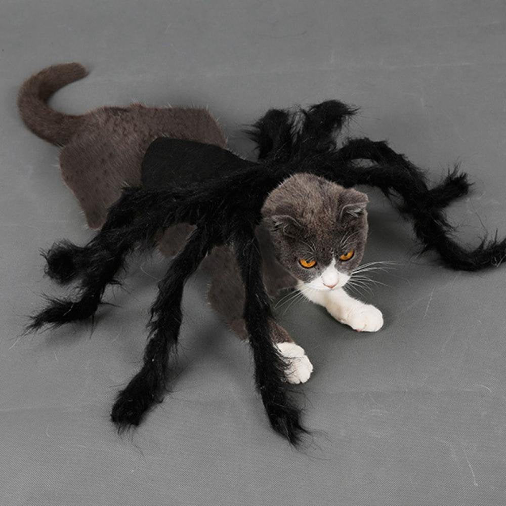 Tarantula Spider Costume, for Pet (Small) Spider - Pet Cosplay Costume Dog Cat Costume Apparel Accessories Animals & Pet Supplies > Pet Supplies > Dog Supplies > Dog Apparel Groomer