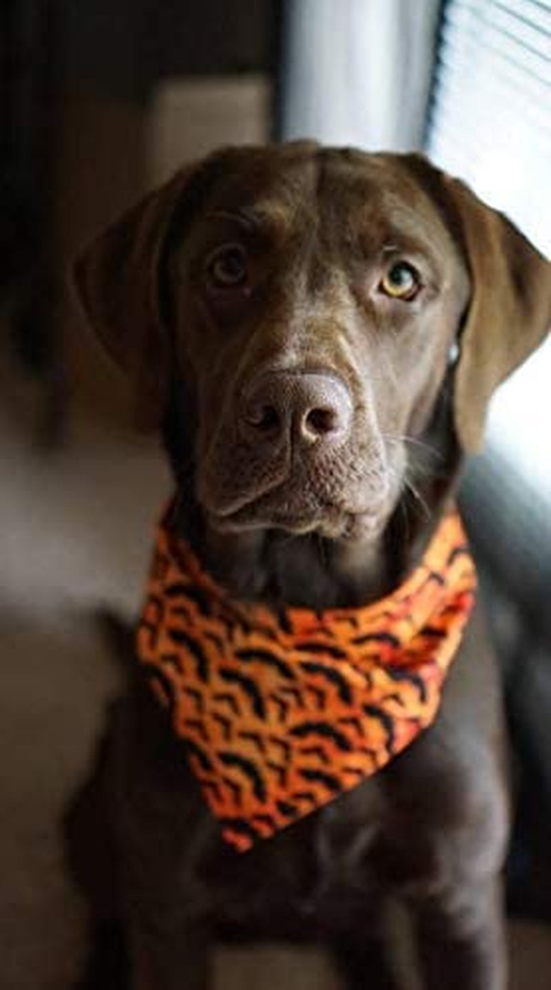 KZHAREEN 2 Pack Halloween Dog Bandana Reversible Triangle Bibs Scarf Accessories Animals & Pet Supplies > Pet Supplies > Dog Supplies > Dog Apparel KZHAREEN