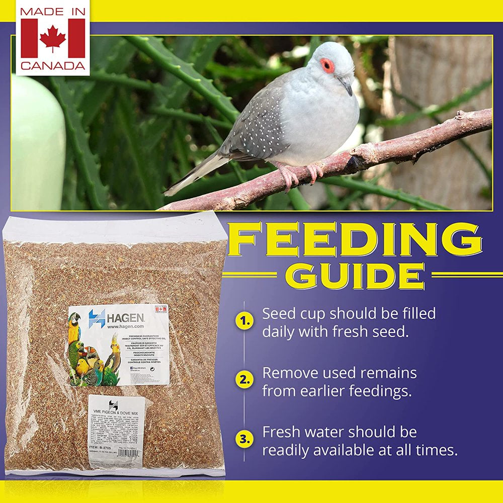Hagen Pigeon & Dove Seed, Nutritionally Complete Bird Food Animals & Pet Supplies > Pet Supplies > Bird Supplies > Bird Food Hagen