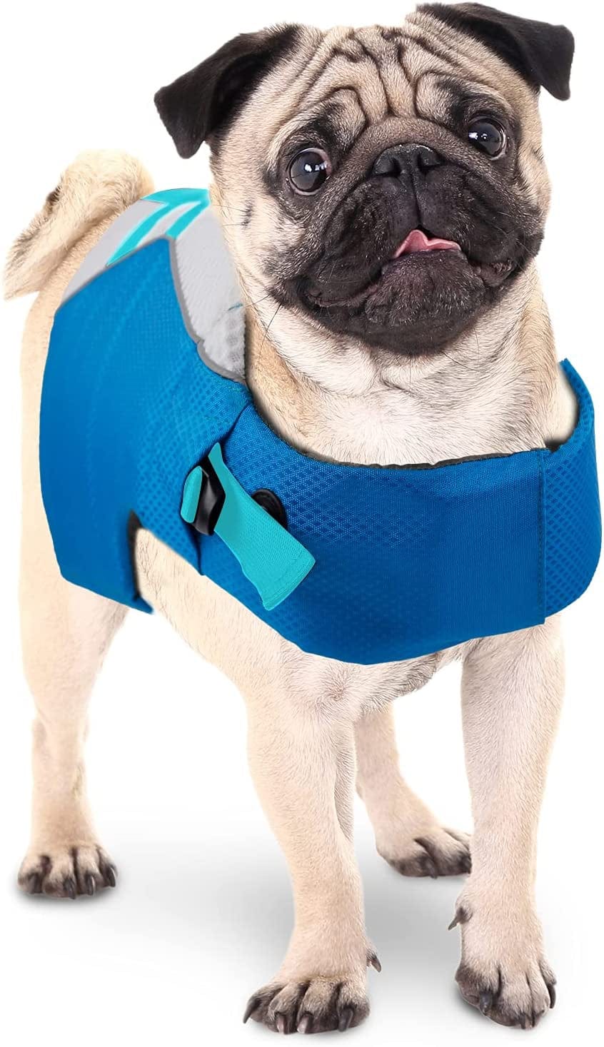 Pug life jacket sales swimming