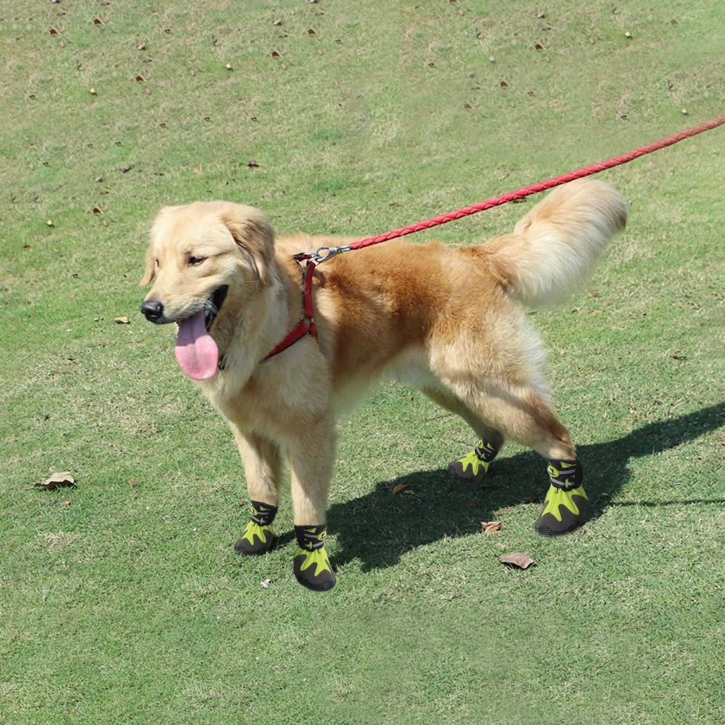 All for Paws Paw Protective Dog Boots for Large Dogs, Waterproof Dog Shoes for Hot Pavement, 4PCS (XXL) Animals & Pet Supplies > Pet Supplies > Dog Supplies > Dog Apparel AFP