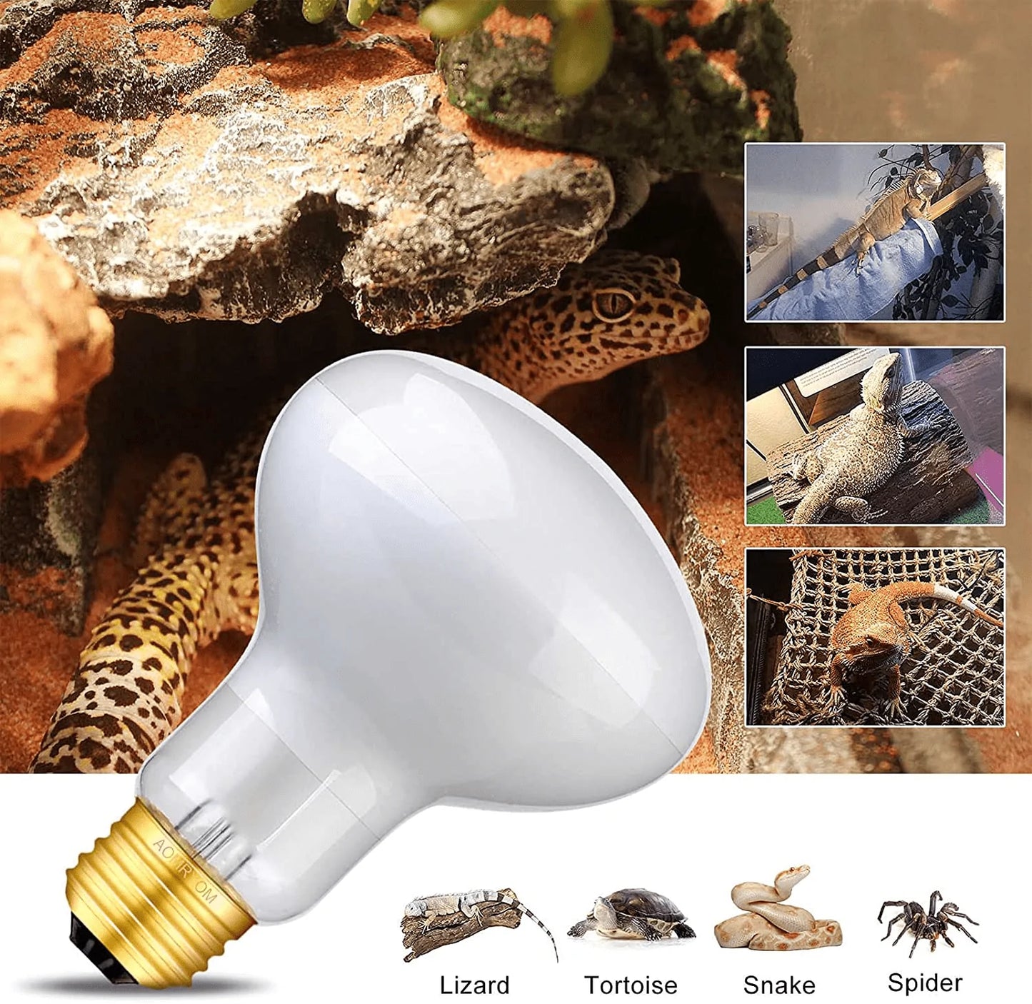 Aomryom UVA 100W Basking Spot Heat Lamp Bulb Soft White Light Glass Heat Bulbs for Reptiles & Amphibians - 2 Pack Animals & Pet Supplies > Pet Supplies > Reptile & Amphibian Supplies > Reptile & Amphibian Habitat Heating & Lighting AOMRYOM