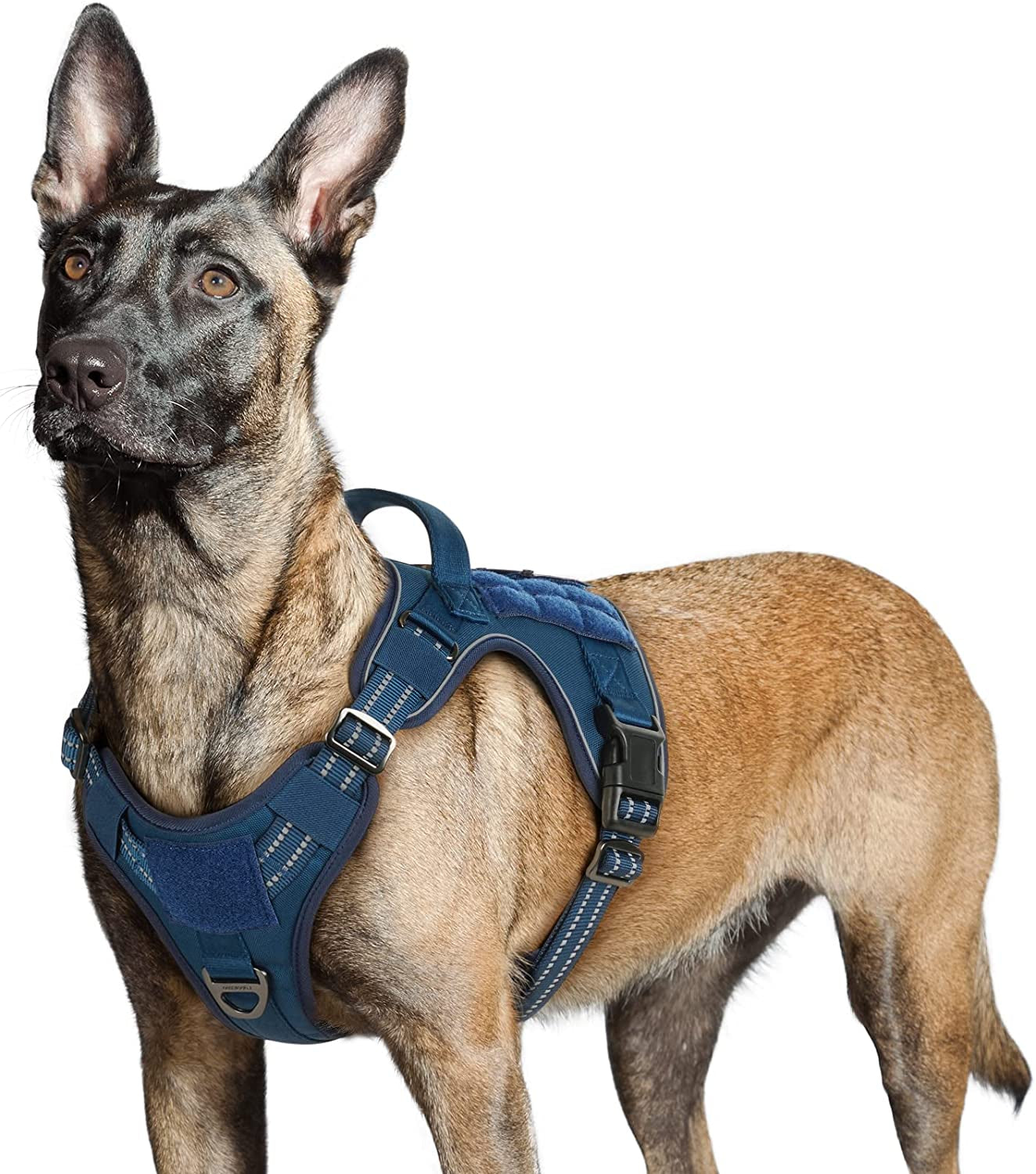 Rabbitgoo Tactical Dog Harness No Pull, Military Dog Vest Harness with Handle & Molle, Easy Control Service Dog Harness for Large Dogs Training Walking, Adjustable Reflective Pet Harness, Black, L Animals & Pet Supplies > Pet Supplies > Dog Supplies > Dog Apparel GLOBEGOU CO.,LTD Blue Large 