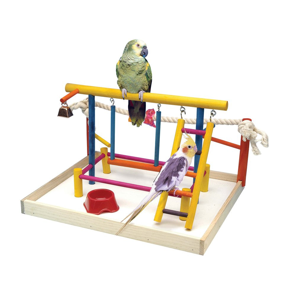 Penn-Plax Bird Life Wooden Playpen – Perfect for Sun Conures, Ring Necks, and Similar Sized Parrots – Extra-Large Animals & Pet Supplies > Pet Supplies > Bird Supplies > Bird Gyms & Playstands Penn-Plax