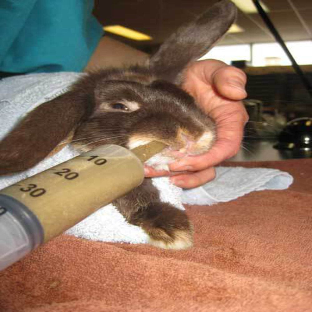 Oxbow Critical Care Small Animal Food, Apple Banana, 4.9 Oz Animals & Pet Supplies > Pet Supplies > Small Animal Supplies > Small Animal Food Oxbow Animal Health