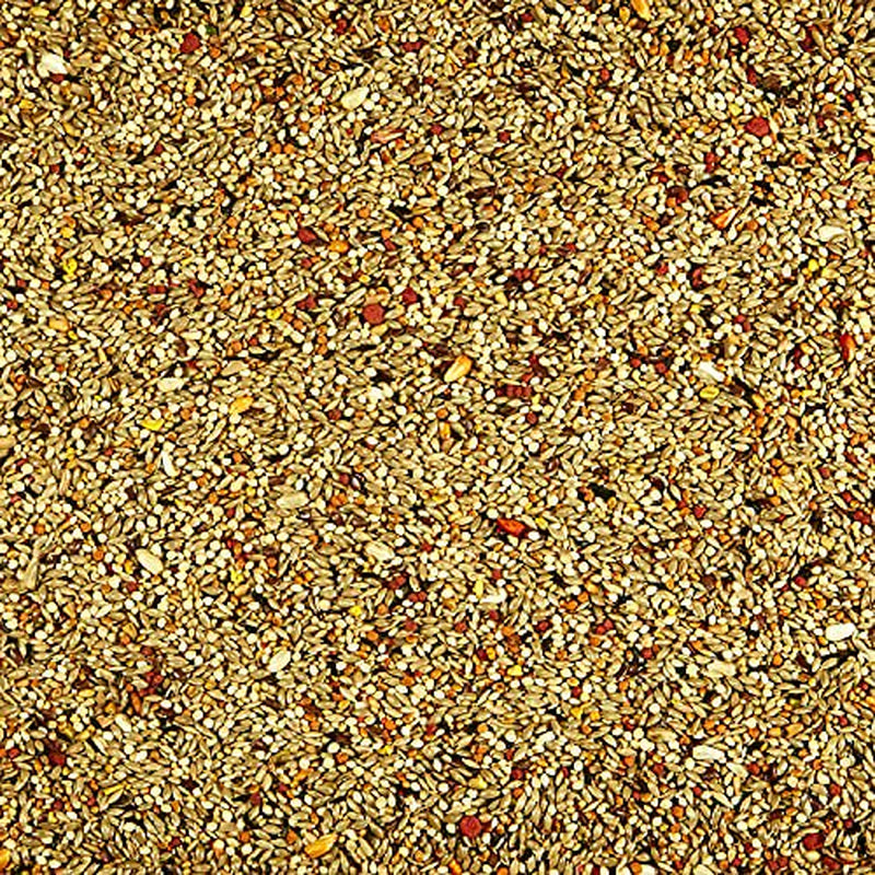 Kaytee Forti Diet Pro Health Orange Flavored Bird Treats for Parakeets, 10-Ounce Animals & Pet Supplies > Pet Supplies > Bird Supplies > Bird Treats Kaytee