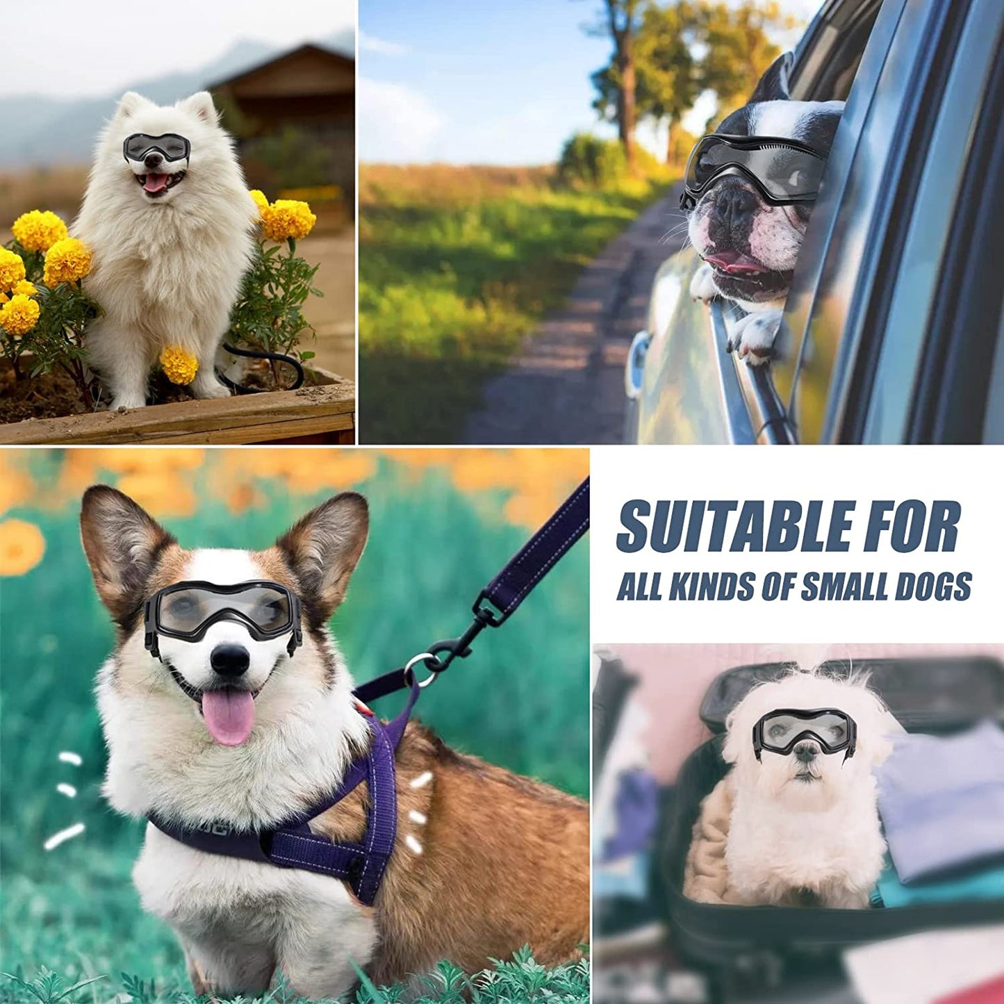 NVTED Dog Sunglasses Dog Goggles, Comfortable Soft Easy Wear Adjustable UV Protection Puppy Sunglasses for Small to Medium Dog (Black) Animals & Pet Supplies > Pet Supplies > Dog Supplies > Dog Apparel NVTED