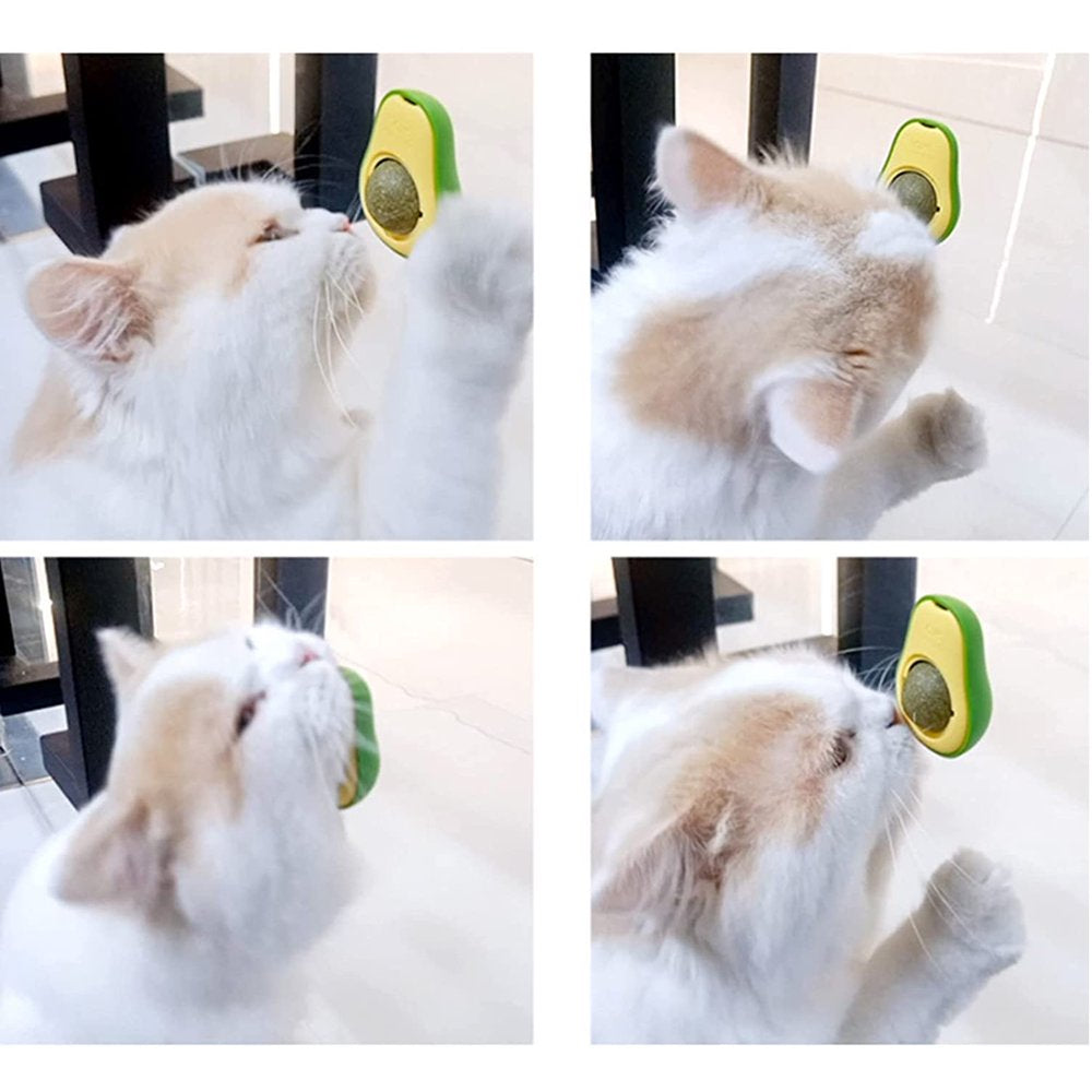 Neotimely Catnip Wall Ball, Detachable Silvervine Catnip Lollipop, Edible Kitty Toys for Cats Lick, Safe Healthy Kitten Chew Toys, Teeth Cleaning Dental Cat Ball Toy for Indoor(1 Pc) Animals & Pet Supplies > Pet Supplies > Cat Supplies > Cat Toys Neotimely