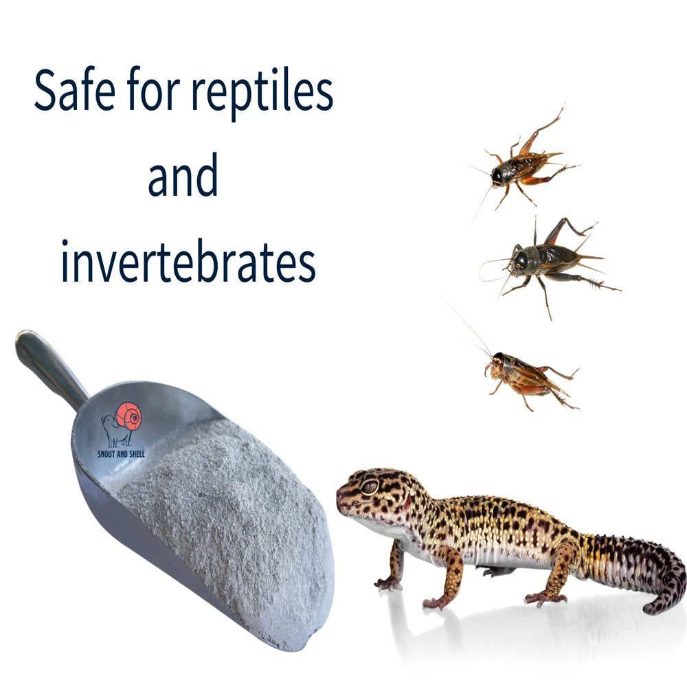 Snout and Shell Oyster Shell Flour 5 Lbs Animals & Pet Supplies > Pet Supplies > Reptile & Amphibian Supplies > Reptile & Amphibian Substrates Snout and Shell