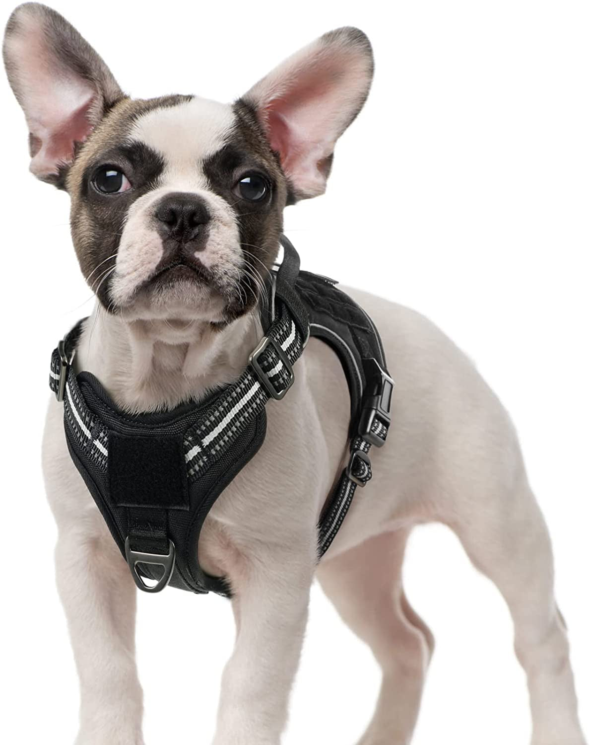Rabbitgoo Tactical Dog Harness No Pull, Military Dog Vest Harness with Handle & Molle, Easy Control Service Dog Harness for Large Dogs Training Walking, Adjustable Reflective Pet Harness, Black, L Animals & Pet Supplies > Pet Supplies > Dog Supplies > Dog Apparel GLOBEGOU CO.,LTD Black Small 