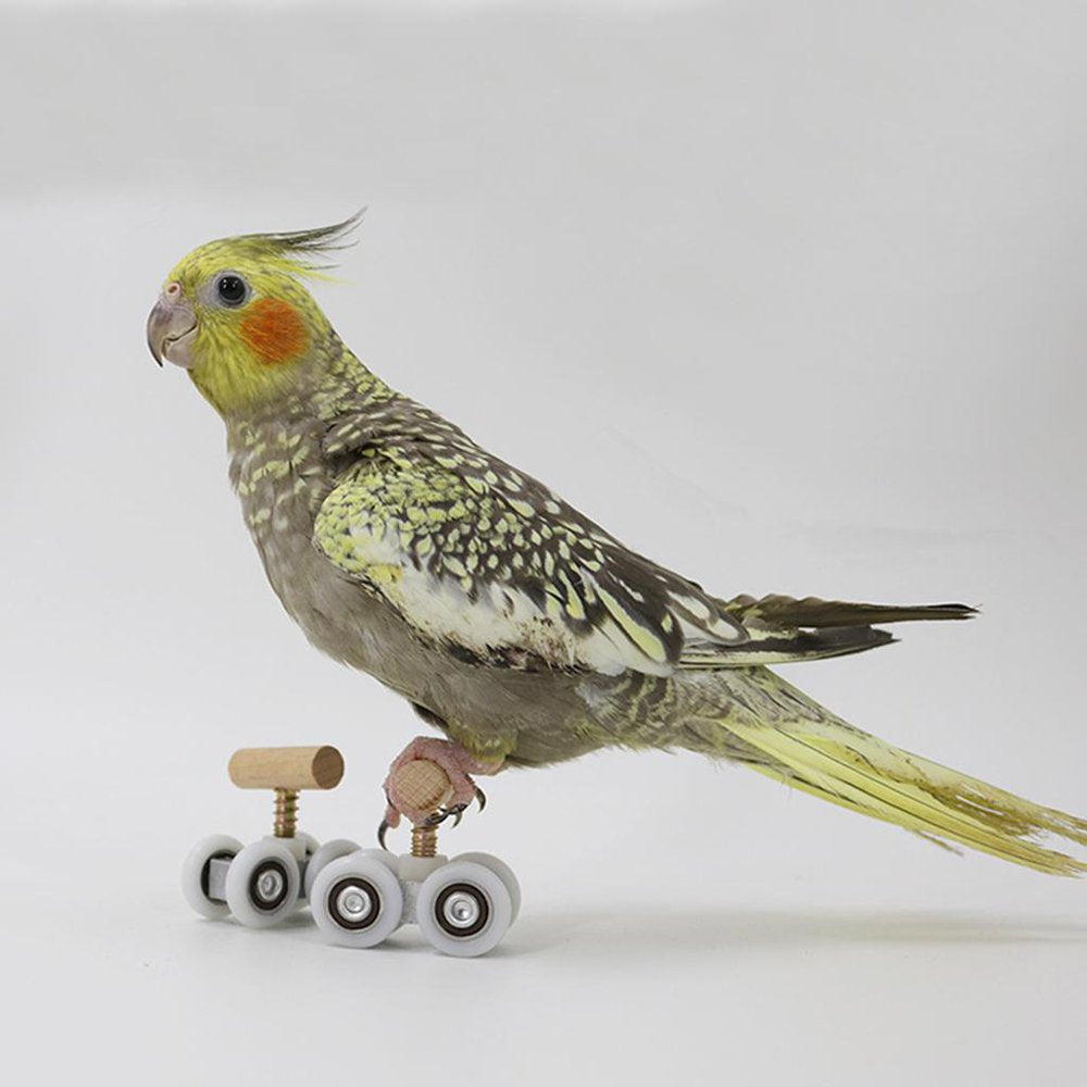 Playground Parrot Skates Toys Bird Budgerigar Gym Toy Adjustable Animals & Pet Supplies > Pet Supplies > Bird Supplies > Bird Gyms & Playstands SunniMix