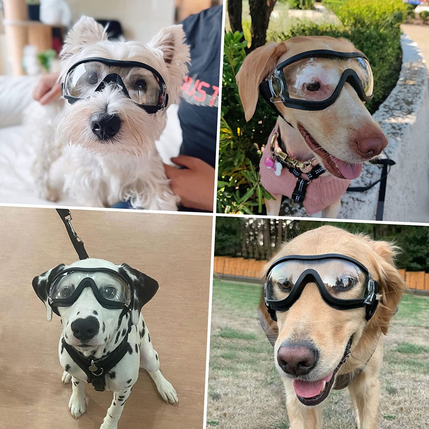 Dog Goggles Large Breed, 2PCS Black and Clear Lens Dog Sunglasses Medium Dogs, UV Protection Adjustable Dog Glasses Animals & Pet Supplies > Pet Supplies > Dog Supplies > Dog Apparel PETLESO
