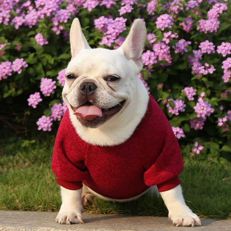 Plush Knitted Dog Clothes, Soft Two Legged Long Sleeves round Neck Classic Cute Pet Sweater Warm Sweatshirt for Small Medium Dogs, Dog Shirts Coat Pullover Apparel Outfit for All Season, XS-2XL Animals & Pet Supplies > Pet Supplies > Dog Supplies > Dog Apparel Zupora XL Wine Red