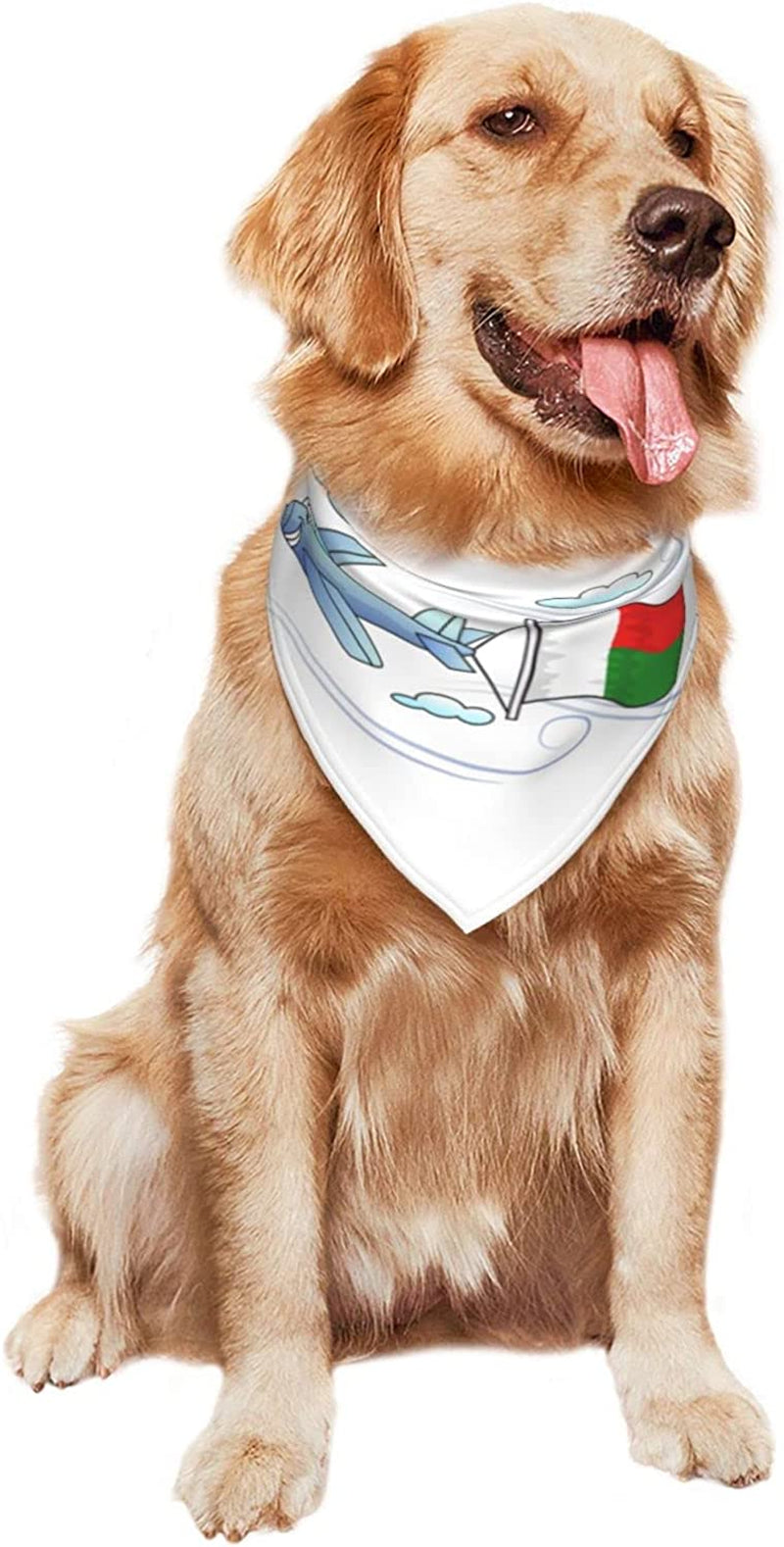 Airplane with Flag Madagascar Pet Dog and Cat Decorative Triangle Scarf,Dog Bandana,Breathable and Stain Resistant. Animals & Pet Supplies > Pet Supplies > Dog Supplies > Dog Apparel ZALTAS