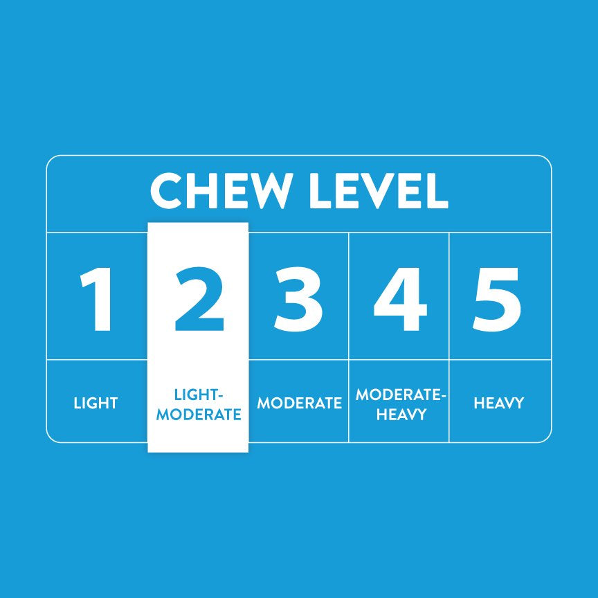 Vibrant Life Holiday Slipper Dog Toy with Squeaker for Light to Moderate Chewing Animals & Pet Supplies > Pet Supplies > Dog Supplies > Dog Toys Vibrant Life