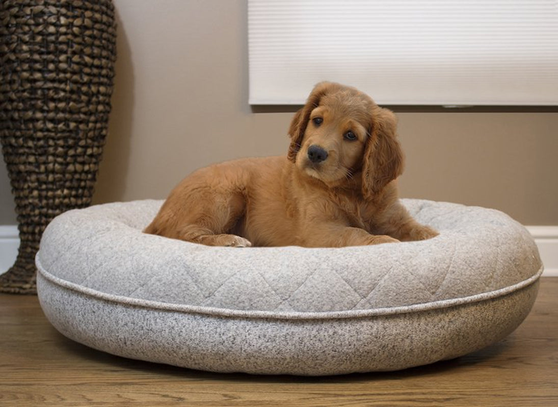 Arlee Donut Lounger and Cuddler Style Pet Bed for Dogs and Cats Animals & Pet Supplies > Pet Supplies > Cat Supplies > Cat Beds Arlee Home Fashions   